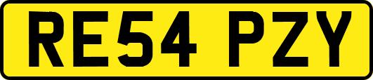 RE54PZY