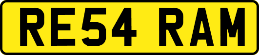 RE54RAM