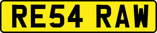 RE54RAW