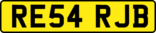 RE54RJB