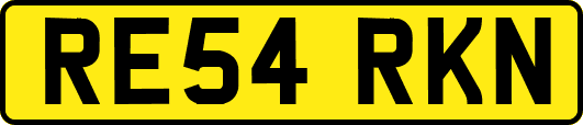 RE54RKN
