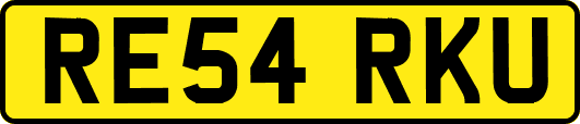 RE54RKU