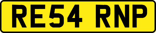 RE54RNP