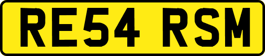 RE54RSM