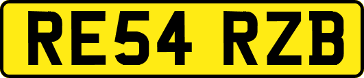 RE54RZB