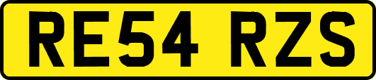 RE54RZS