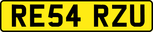 RE54RZU