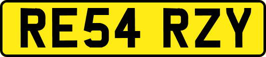 RE54RZY