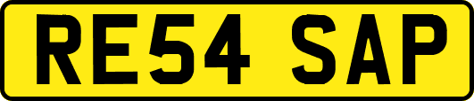 RE54SAP