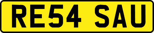 RE54SAU