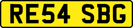 RE54SBG