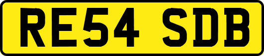 RE54SDB
