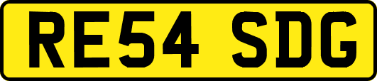 RE54SDG