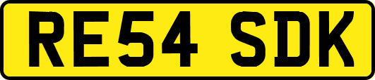 RE54SDK
