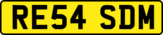 RE54SDM