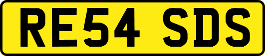 RE54SDS