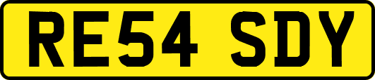 RE54SDY
