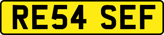 RE54SEF