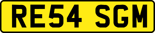 RE54SGM