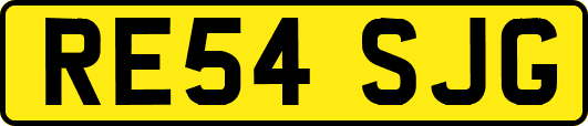 RE54SJG