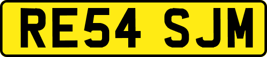 RE54SJM