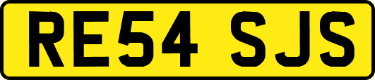 RE54SJS