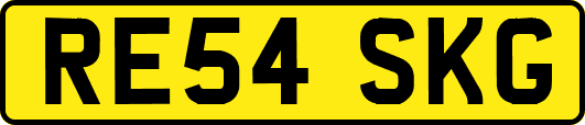 RE54SKG