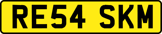 RE54SKM