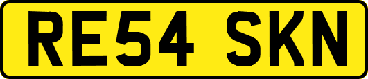 RE54SKN