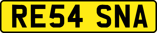 RE54SNA