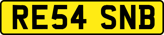 RE54SNB