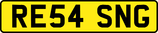 RE54SNG