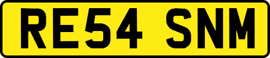RE54SNM