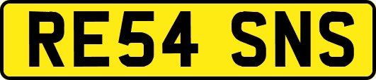 RE54SNS