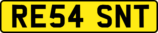 RE54SNT