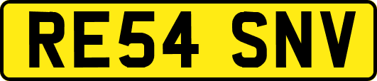 RE54SNV