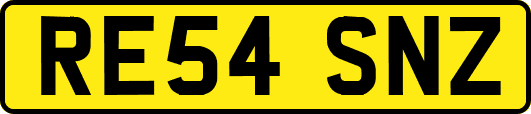 RE54SNZ