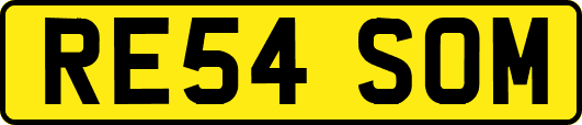 RE54SOM