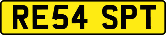 RE54SPT