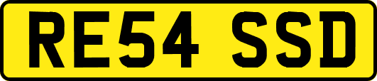 RE54SSD