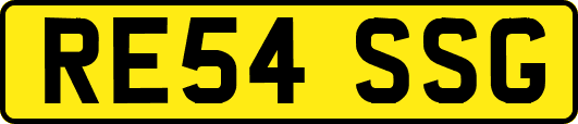 RE54SSG