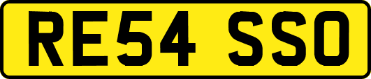 RE54SSO