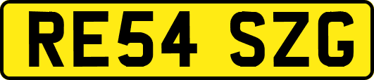 RE54SZG