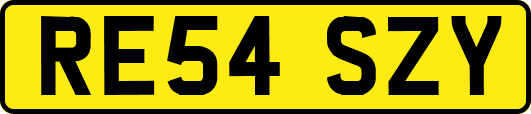 RE54SZY