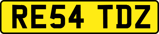 RE54TDZ