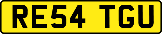 RE54TGU