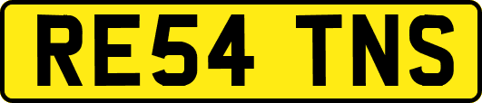 RE54TNS