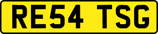 RE54TSG