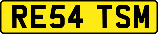 RE54TSM