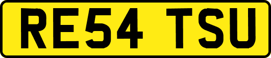 RE54TSU